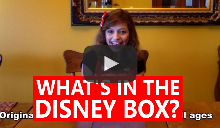 DISNEY SUBSCRIPTION BOX UNBOXING FEB 2016 – Charisse