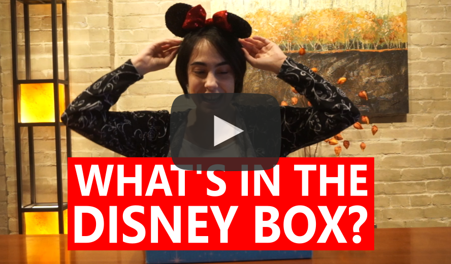 DISNEY SUBSCRIPTION BOX UNBOXING FEB 2016 – JONA