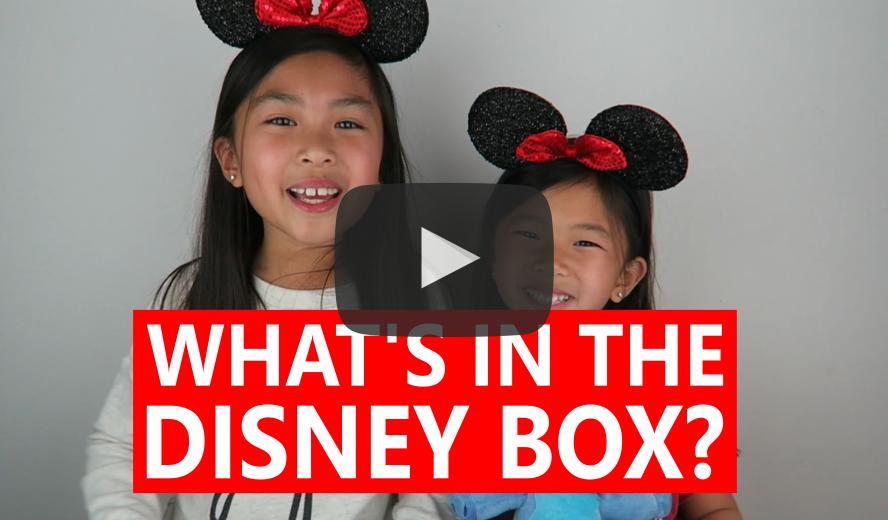 DISNEY SUBSCRIPTION BOX UNBOXING FEB 2016 – Kaitlyn and Leah